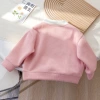 A new Korean-style rabbit-embroidered hoodie for girls in autumn 2024, a stylish top for babies in spring and autumn Application Scenario